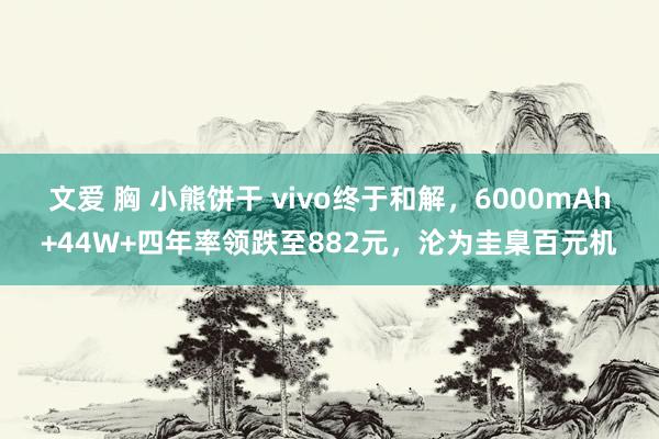 文爱 胸 小熊饼干 vivo终于和解，6000mAh+44W+四年率领跌至882元，沦为圭臬百元机