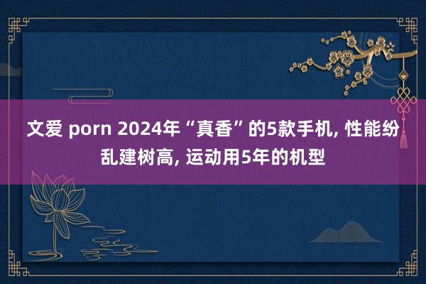 文爱 porn 2024年“真香”的5款手机， 性能纷乱建树高， 运动用5年的机型