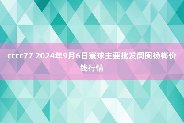 cccc77 2024年9月6日寰球主要批发阛阓杨梅价钱行情