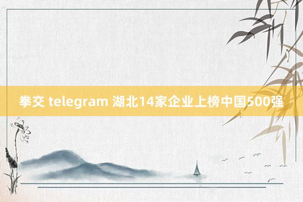 拳交 telegram 湖北14家企业上榜中国500强