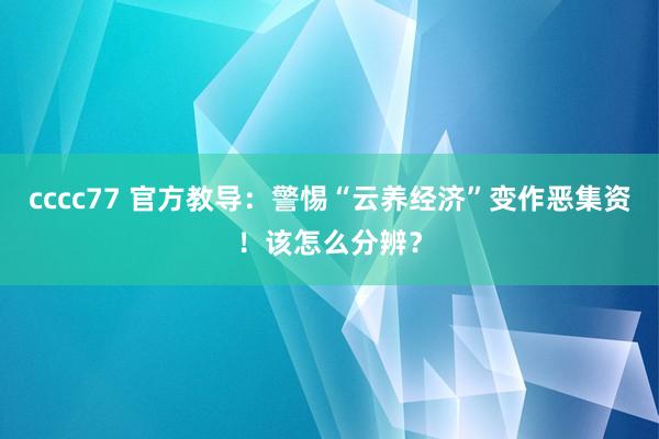 cccc77 官方教导：警惕“云养经济”变作恶集资！该怎么分辨？