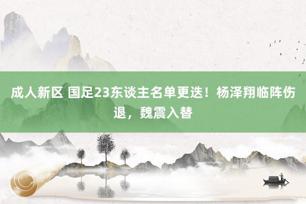 成人新区 国足23东谈主名单更迭！杨泽翔临阵伤退，魏震入替