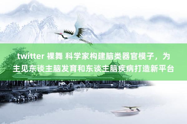 twitter 裸舞 科学家构建脑类器官模子，为主见东谈主脑发育和东谈主脑疾病打造新平台