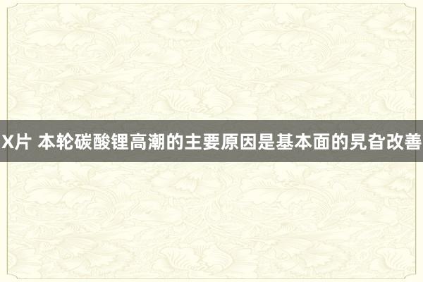 X片 本轮碳酸锂高潮的主要原因是基本面的旯旮改善