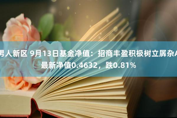 男人新区 9月13日基金净值：招商丰盈积极树立羼杂A最新净值0.4632，跌0.81%