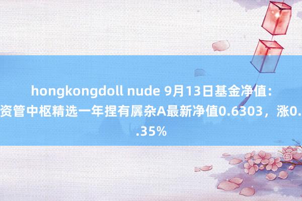 hongkongdoll nude 9月13日基金净值：广发资管中枢精选一年捏有羼杂A最新净值0.6303，涨0.35%