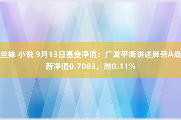 丝袜 小说 9月13日基金净值：广发平衡讲述羼杂A最新净值0.7083，跌0.11%