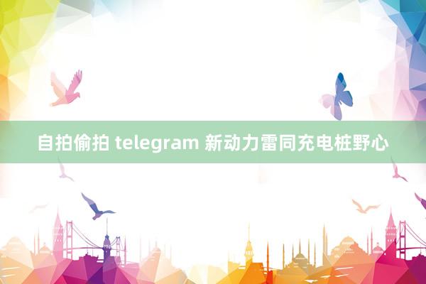 自拍偷拍 telegram 新动力雷同充电桩野心