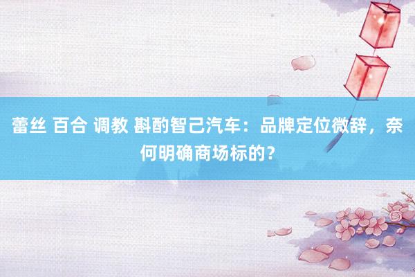 蕾丝 百合 调教 斟酌智己汽车：品牌定位微辞，奈何明确商场标的？