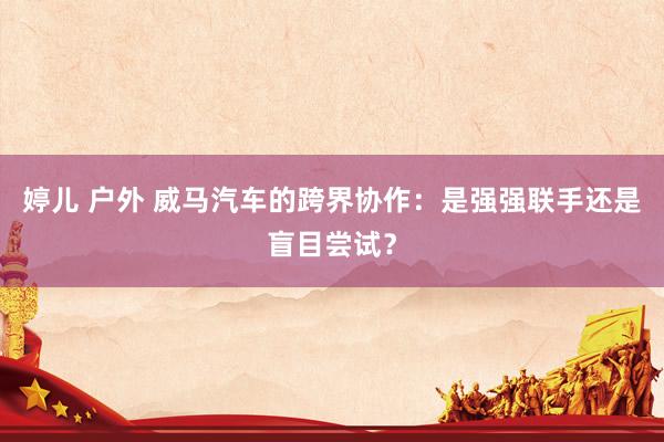 婷儿 户外 威马汽车的跨界协作：是强强联手还是盲目尝试？