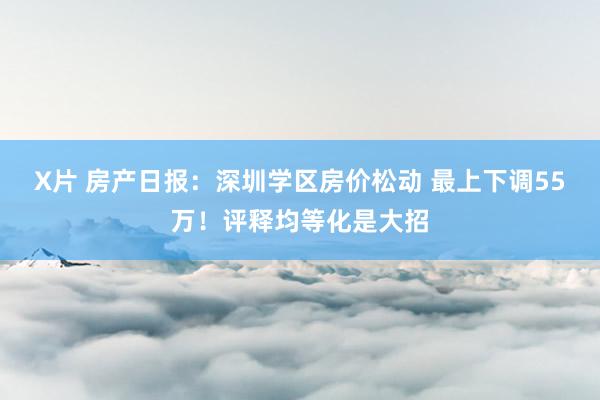 X片 房产日报：深圳学区房价松动 最上下调55万！评释均等化是大招