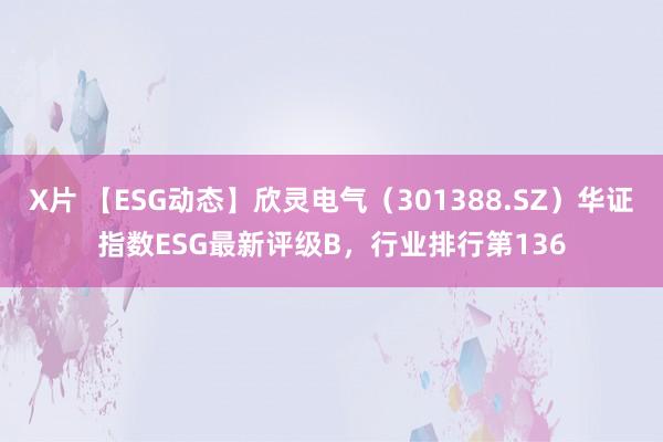 X片 【ESG动态】欣灵电气（301388.SZ）华证指数ESG最新评级B，行业排行第136