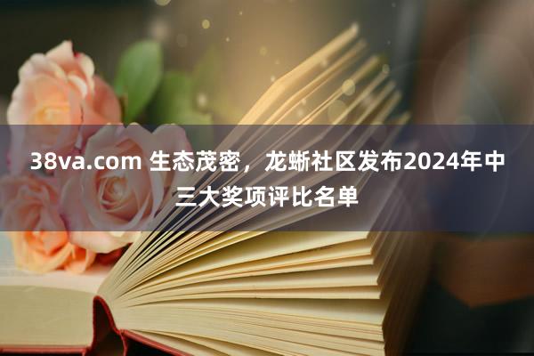 38va.com 生态茂密，龙蜥社区发布2024年中三大奖项评比名单