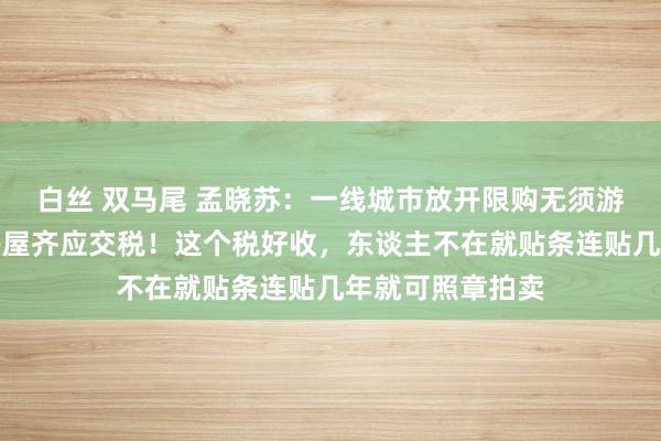 白丝 双马尾 孟晓苏：一线城市放开限购无须游移，扫数城镇房屋齐应交税！这个税好收，东谈主不在就贴条连贴几年就可照章拍卖