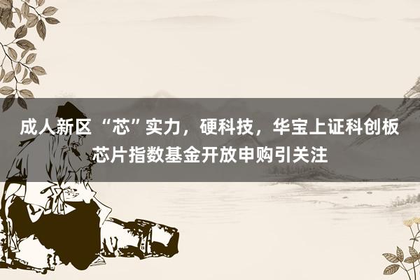 成人新区 “芯”实力，硬科技，华宝上证科创板芯片指数基金开放申购引关注