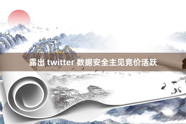 露出 twitter 数据安全主见竞价活跃