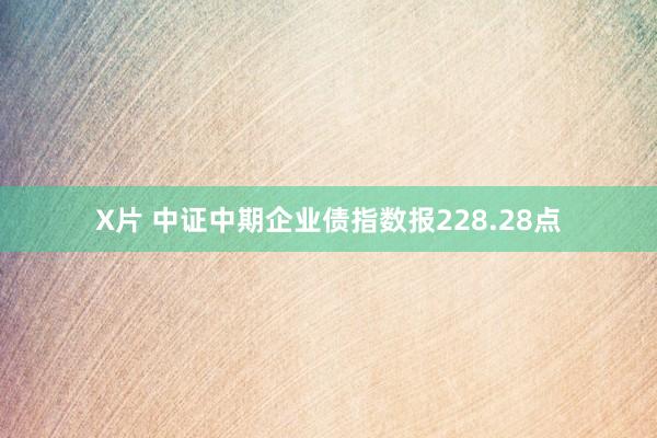 X片 中证中期企业债指数报228.28点