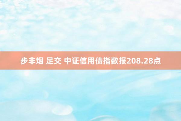 步非烟 足交 中证信用债指数报208.28点