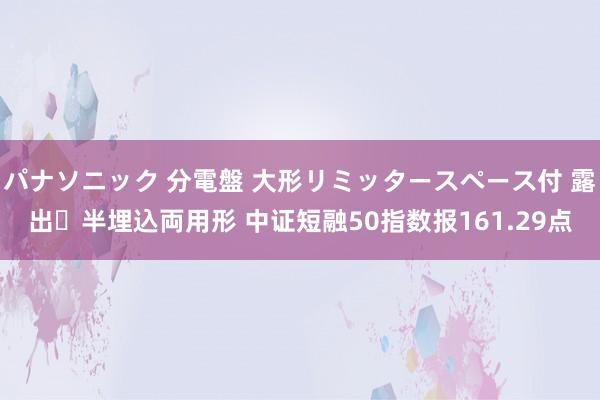 パナソニック 分電盤 大形リミッタースペース付 露出・半埋込両用形 中证短融50指数报161.29点