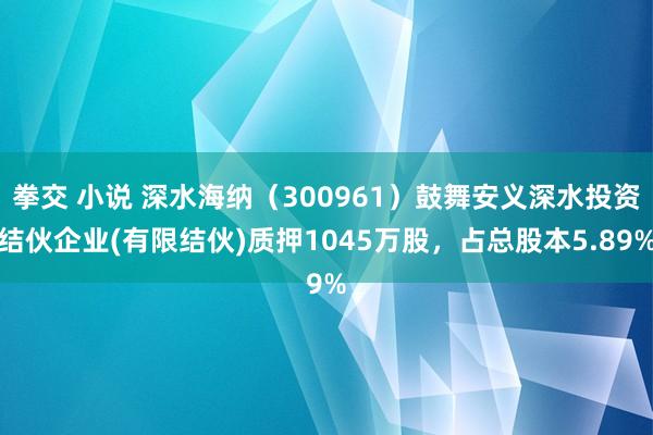 拳交 小说 深水海纳（300961）鼓舞安义深水投资结伙企业(有限结伙)质押1045万股，占总股本5.89%