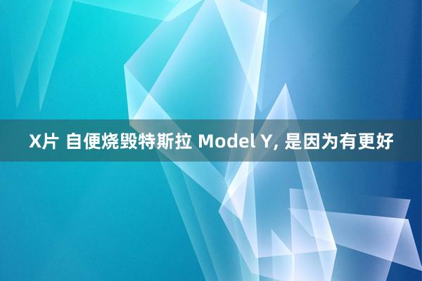 X片 自便烧毁特斯拉 Model Y， 是因为有更好