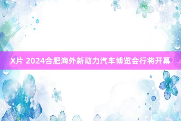 X片 2024合肥海外新动力汽车博览会行将开幕