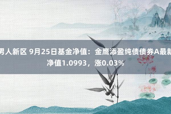 男人新区 9月25日基金净值：金鹰添盈纯债债券A最新净值1.0993，涨0.03%