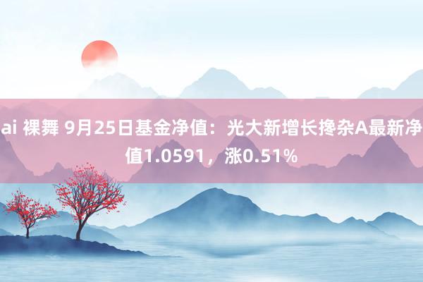 ai 裸舞 9月25日基金净值：光大新增长搀杂A最新净值1.0591，涨0.51%