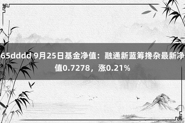 65dddd 9月25日基金净值：融通新蓝筹搀杂最新净值0.7278，涨0.21%