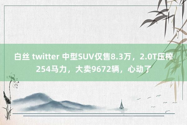 白丝 twitter 中型SUV仅售8.3万，2.0T压榨254马力，大卖9672辆，心动了