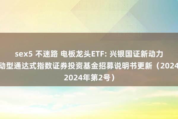 sex5 不迷路 电板龙头ETF: 兴银国证新动力车电板走动型通达式指数证券投资基金招募说明书更新（2024年第2号）