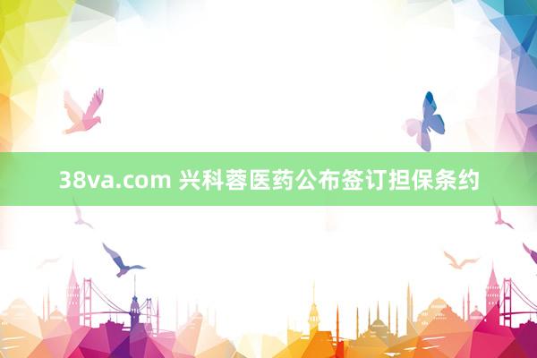 38va.com 兴科蓉医药公布签订担保条约