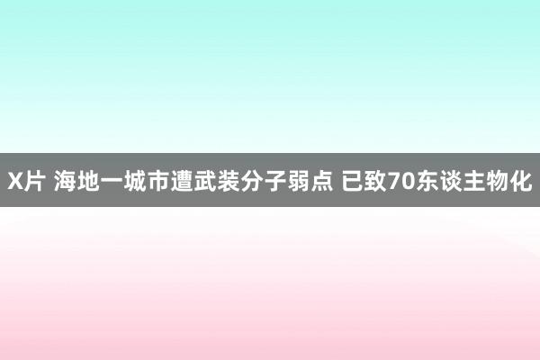 X片 海地一城市遭武装分子弱点 已致70东谈主物化