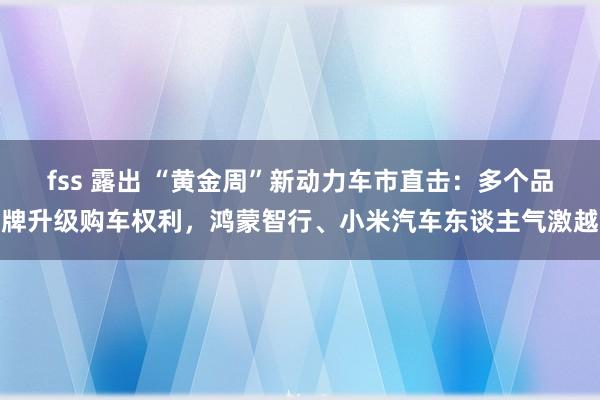 fss 露出 “黄金周”新动力车市直击：多个品牌升级购车权利，鸿蒙智行、小米汽车东谈主气激越