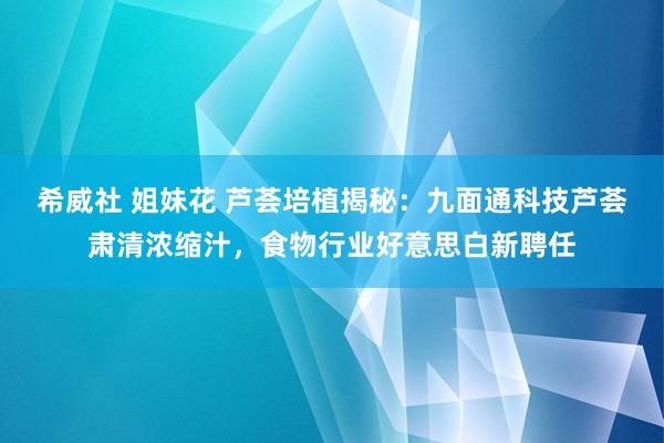 希威社 姐妹花 芦荟培植揭秘：九面通科技芦荟肃清浓缩汁，食物行业好意思白新聘任