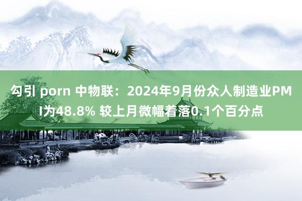 勾引 porn 中物联：2024年9月份众人制造业PMI为48.8% 较上月微幅着落0.1个百分点