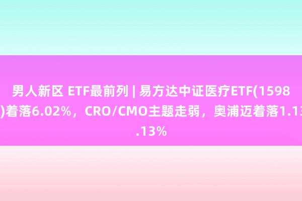 男人新区 ETF最前列 | 易方达中证医疗ETF(159847)着落6.02%，CRO/CMO主题走弱，奥浦迈着落1.13%