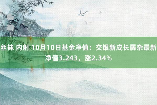 丝袜 内射 10月10日基金净值：交银新成长羼杂最新净值3.243，涨2.34%