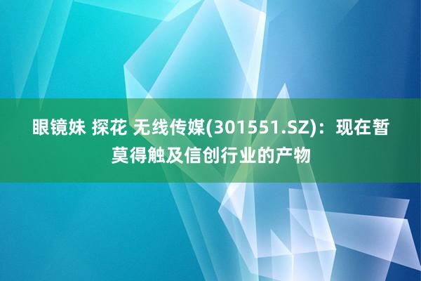 眼镜妹 探花 无线传媒(301551.SZ)：现在暂莫得触及信创行业的产物