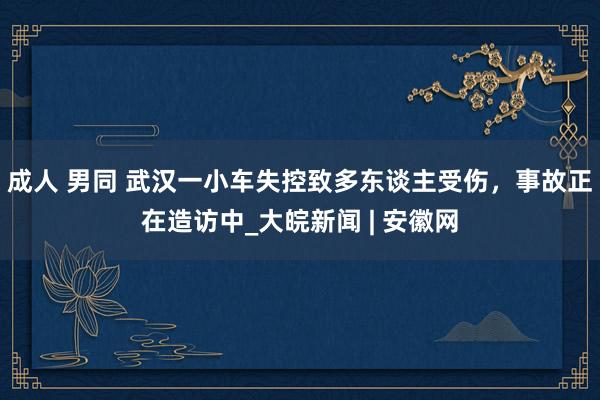 成人 男同 武汉一小车失控致多东谈主受伤，事故正在造访中_大皖新闻 | 安徽网