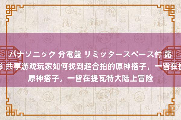 パナソニック 分電盤 リミッタースペース付 露出・半埋込両用形 共享游戏玩家如何找到超合拍的原神搭子，一皆在提瓦特大陆上冒险