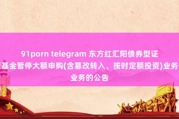 91porn telegram 东方红汇阳债券型证券投资基金暂停大额申购(含篡改转入、按时定额投资)业务的公告