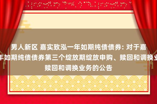 男人新区 嘉实致泓一年如期纯债债券: 对于嘉实致泓一年如期纯债债券第三个绽放期绽放申购、赎回和调换业务的公告