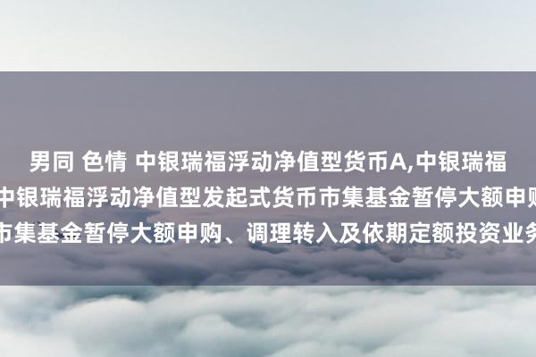 男同 色情 中银瑞福浮动净值型货币A，中银瑞福浮动净值型货币C: 对于中银瑞福浮动净值型发起式货币市集基金暂停大额申购、调理转入及依期定额投资业务的公告