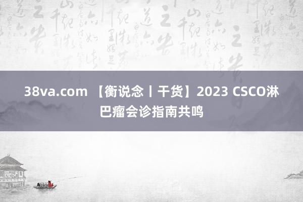 38va.com 【衡说念丨干货】2023 CSCO淋巴瘤会诊指南共鸣