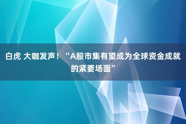 白虎 大咖发声！“A股市集有望成为全球资金成就的紧要场面”