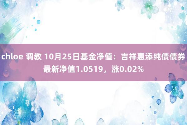 chloe 调教 10月25日基金净值：吉祥惠添纯债债券最新净值1.0519，涨0.02%