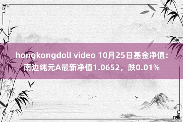 hongkongdoll video 10月25日基金净值：南边纯元A最新净值1.0652，跌0.01%