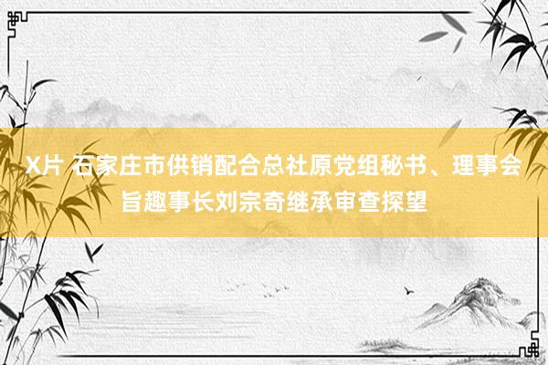 X片 石家庄市供销配合总社原党组秘书、理事会旨趣事长刘宗奇继承审查探望