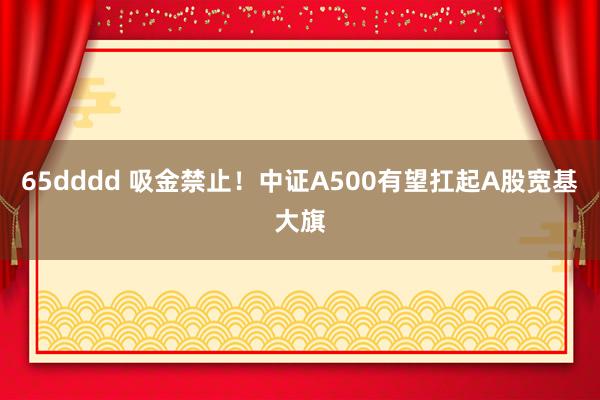 65dddd 吸金禁止！中证A500有望扛起A股宽基大旗